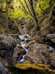 無銘の滝