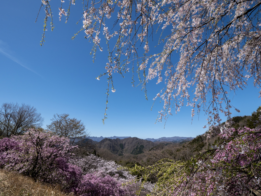 妙義から荒船を