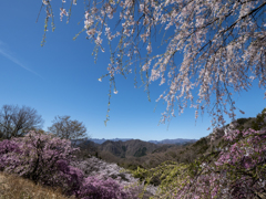妙義から荒船を