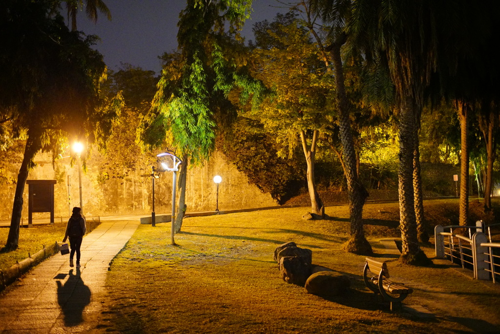 台湾 夜の公園にて