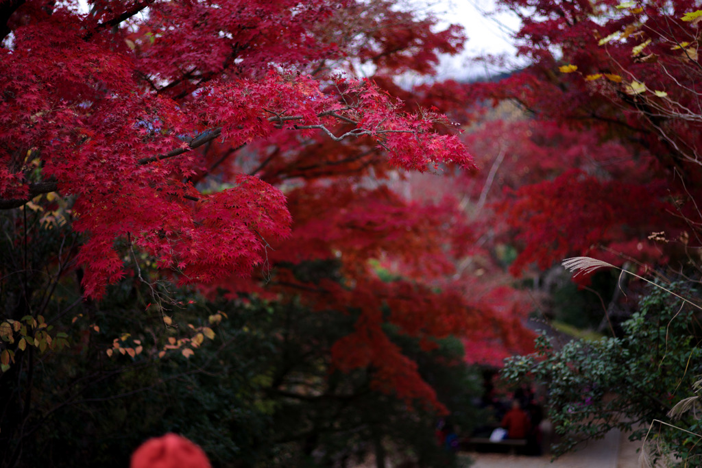 高尾山山頂