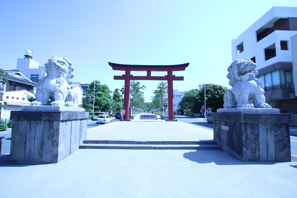 鶴岡八幡宮ちょっと手前