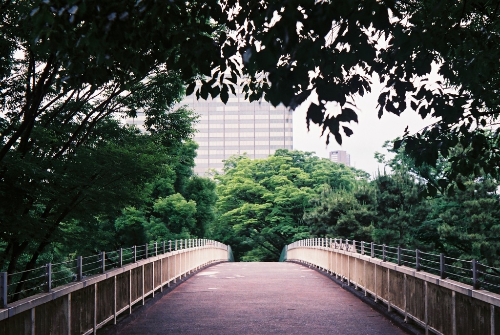橋