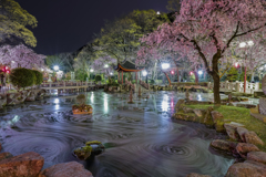 日中友好庭園