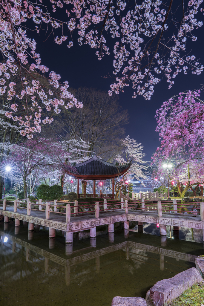 日中友好庭園