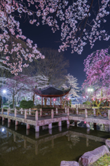 日中友好庭園
