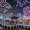 日中友好庭園