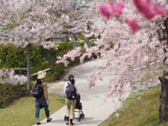 おさんぽ