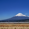 新幹線+富士山 カラーバージョン