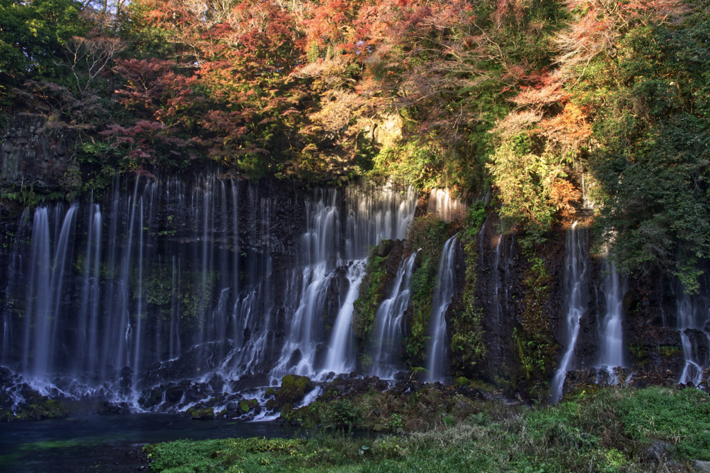 晩秋の白糸の滝