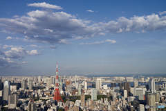 東京タワーと青い空