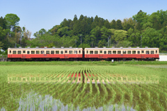 小湊鐵道で水田水鏡チャレンジ！