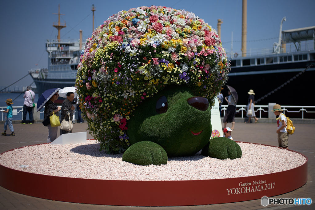 山下公園のガーデンベア