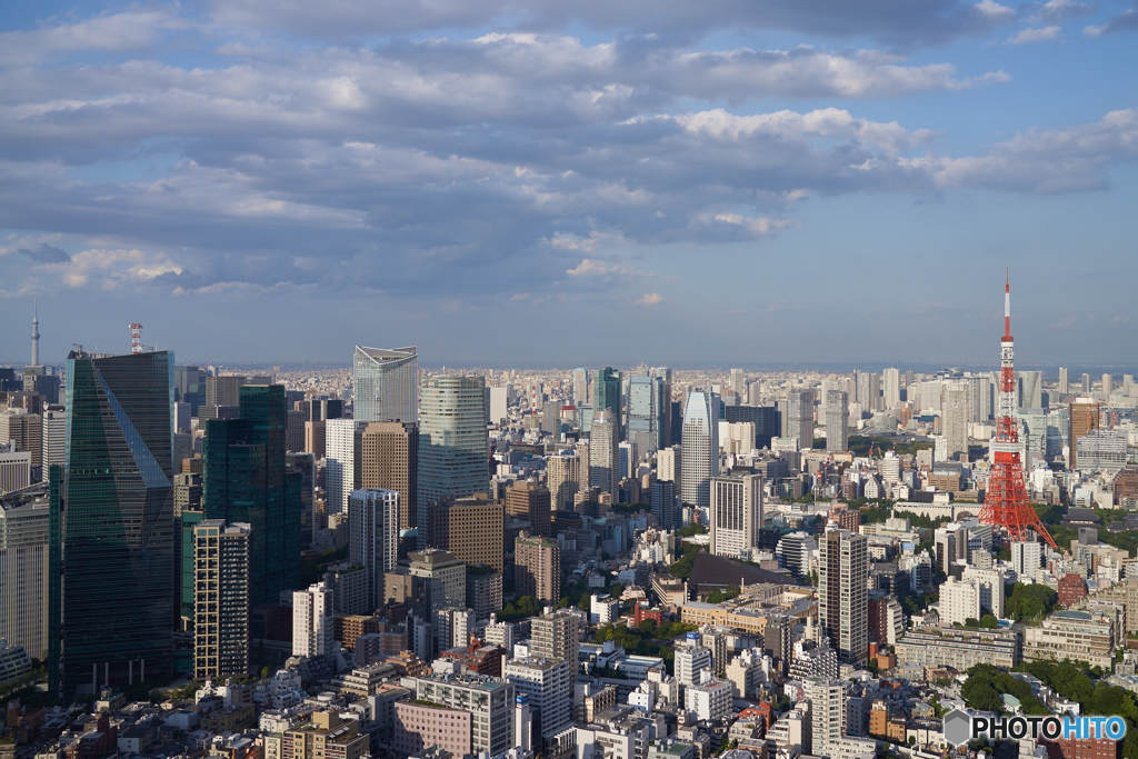 東京タワー＆スカイツリー