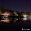 ワイドで見る昭和記念公園の「夜の秋散歩」