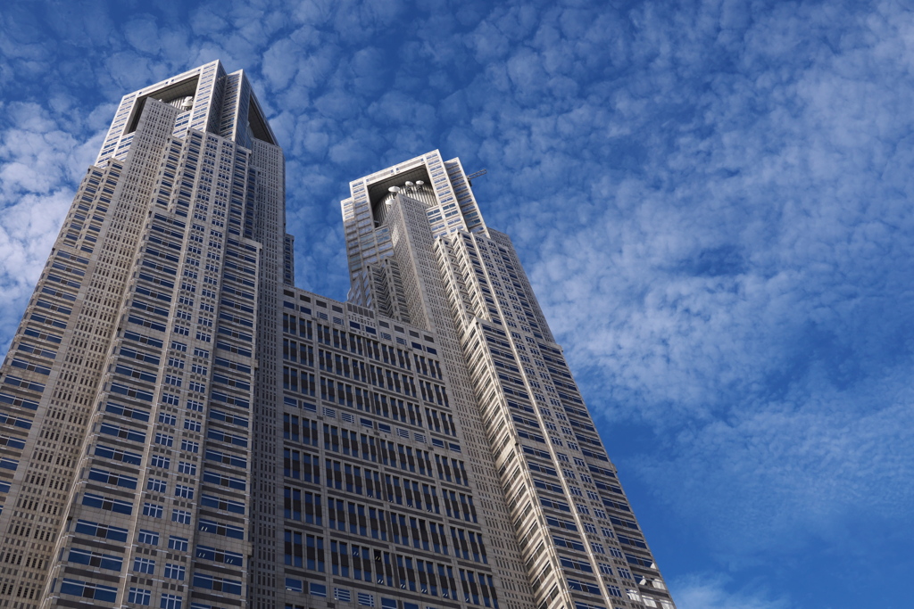 冬空と東京都庁