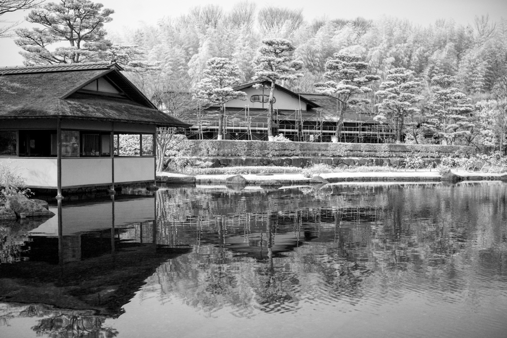大雪の昭和記念公園!?
