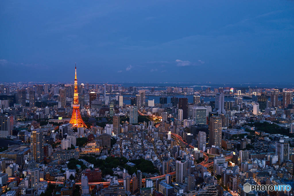 スカイデッキからの夜景