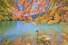南伊奈ヶ湖の秋