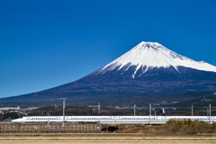 毎年恒例の富士山と新幹線のコラボ