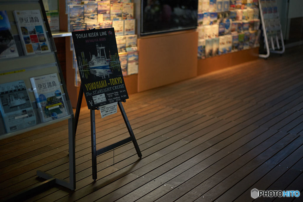 The STARLIGHT CRUISE