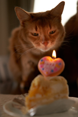 オレの誕生日ケーキ？