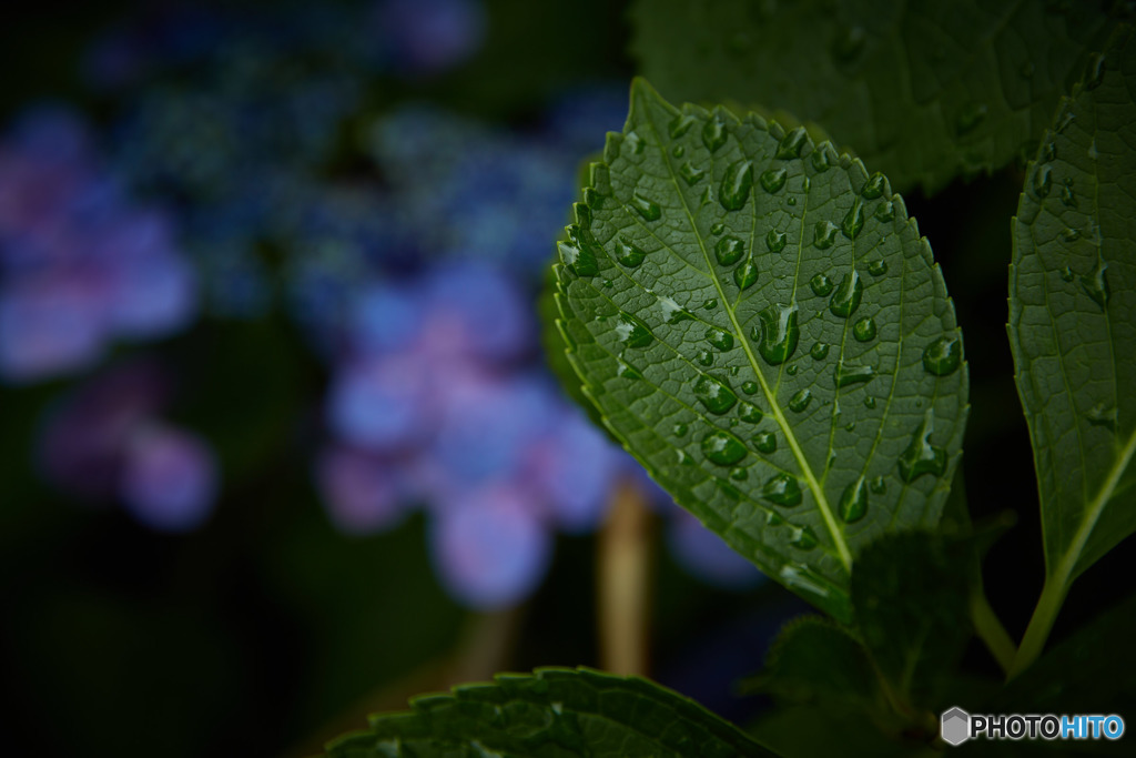 雨が上がって