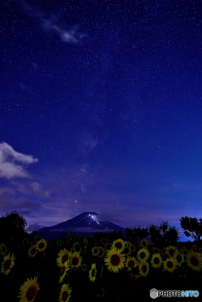 夏の夜空