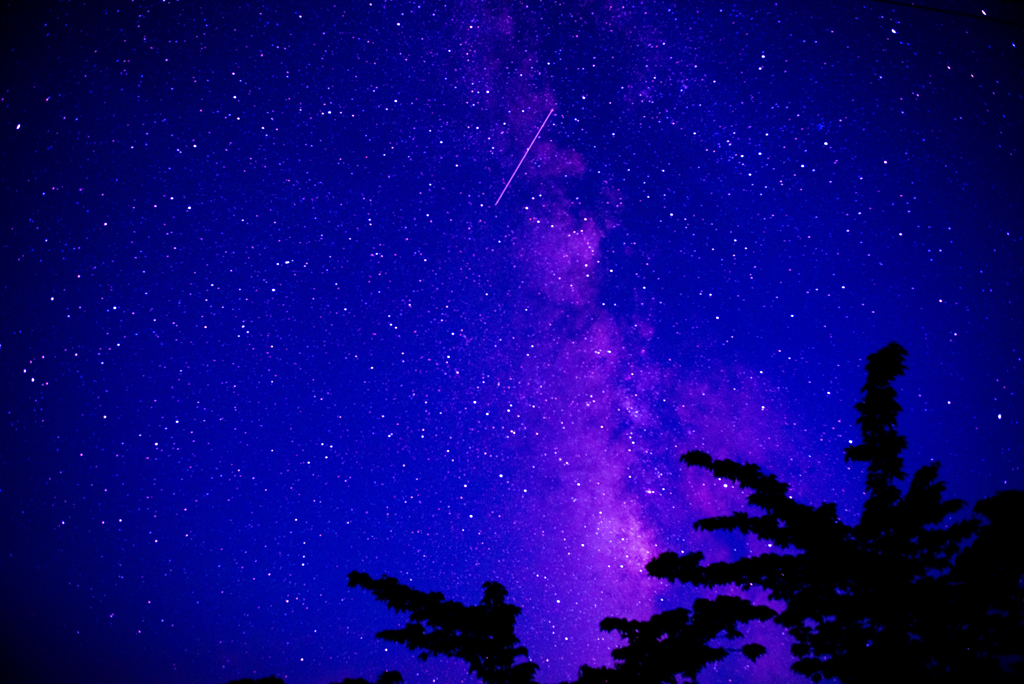 高野山にて