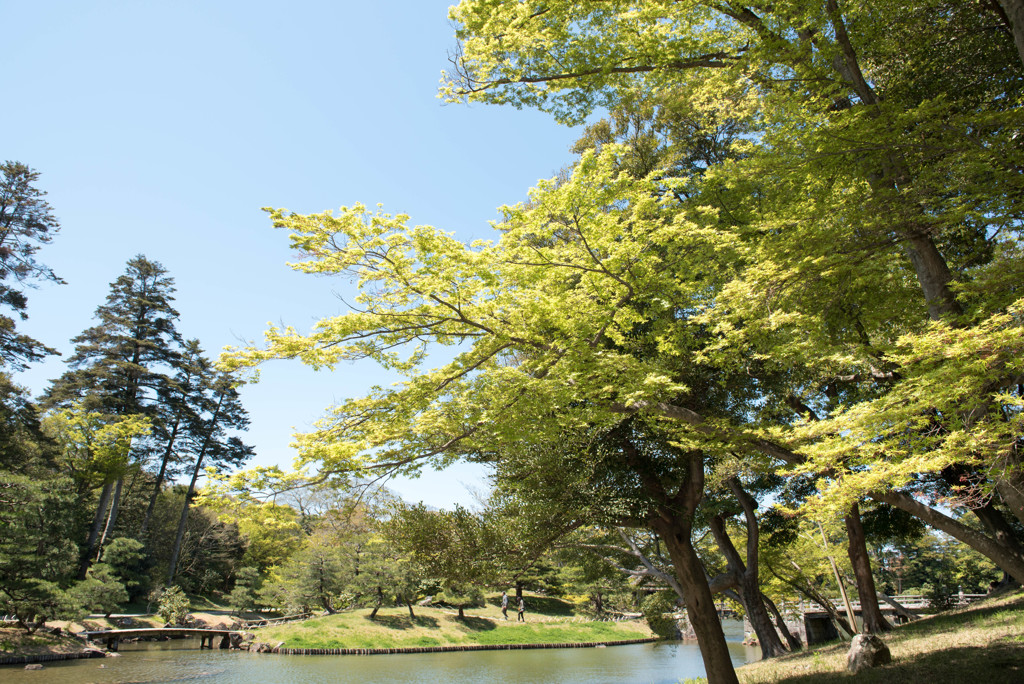 玄宮園にて