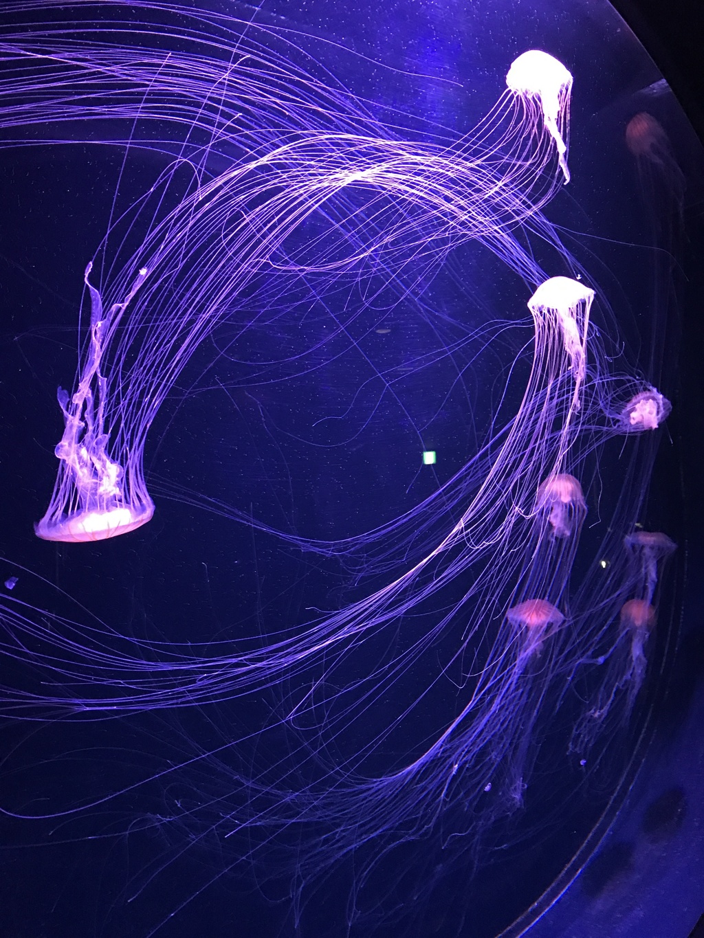 海の中道マリーンワールド