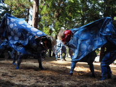 野田神幸祭 獅子舞