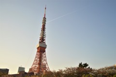 東京タワーと飛行機雲