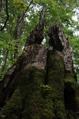 7D0EF195-9569-4243-BEEE-7C45E1CF268A