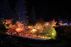 青森県にある中野紅葉山