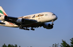 　エミレーツＡ380　動物愛護