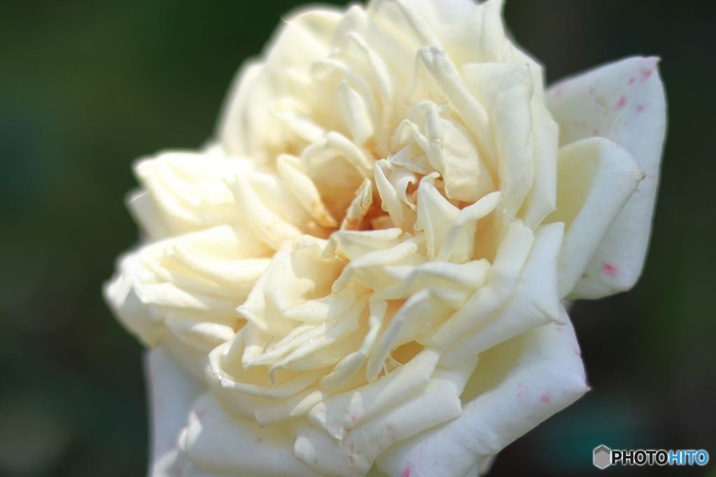 清楚で良いですね。