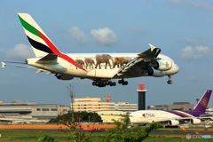 　エミレーツ航空A380　　タイ国際航空エアバス社A38０