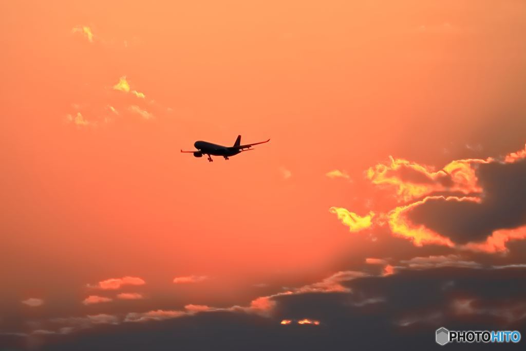 夕陽の彼方からハワイアン航空