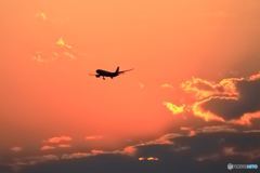 夕陽の彼方からハワイアン航空