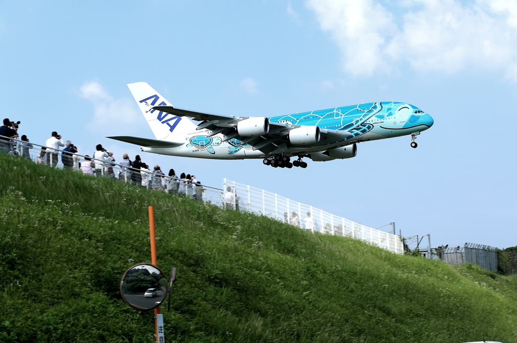 A380 (JA382A)　