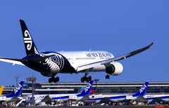 　ニュージーランド航空