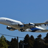 マレーシア航空 A380　