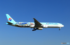 大韓航空  777-300 (HL8274)