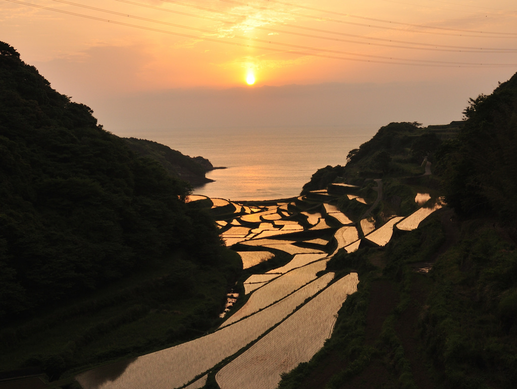 棚田の夕陽