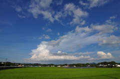 夏・田園