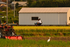 田舎の夕刻