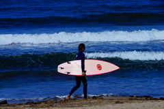 surf
