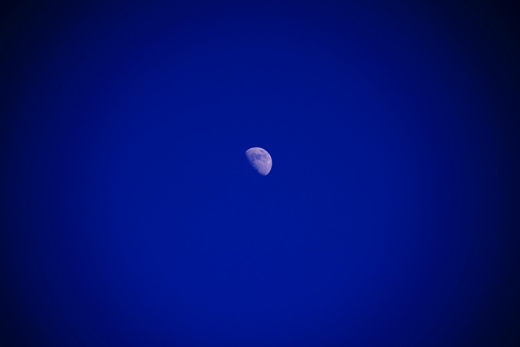 真っ青な空に月