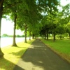 水元公園にて